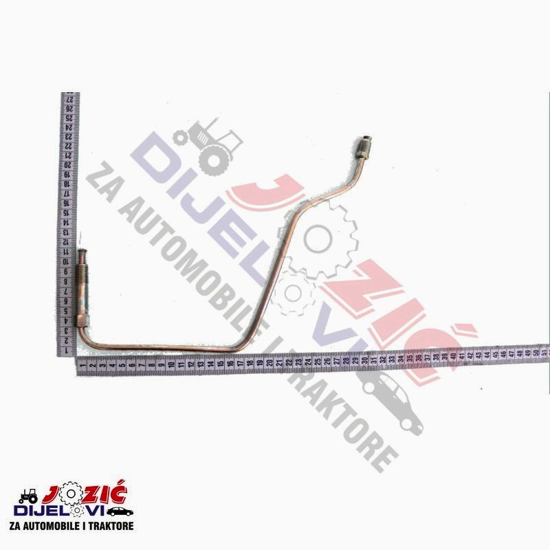 Daisy on the Ohoopee